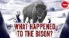 Why DID The Us Try To Kill All The Bison Andrew C Isenberg