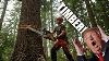 Why Trump Opening National Forests To Logging Is Good For All Forests