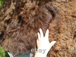 Wild Yellowstone Bison Rug Hide Large Full Buffalo Robe Vintage Rare