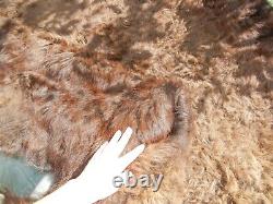 Wild Yellowstone Bison Rug Hide Large Full Buffalo Robe Vintage Rare