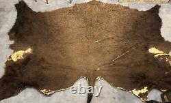 X-LG BISON HAIR-ON-HIDE Big Winter Bull Harvested in Yellowstone