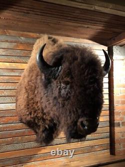 X-LG BISON HAIR-ON-HIDE Big Winter Bull Harvested in Yellowstone
