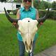 XL American Bison/Buffalo Skull with a 25 inch wide horn spread # 43599