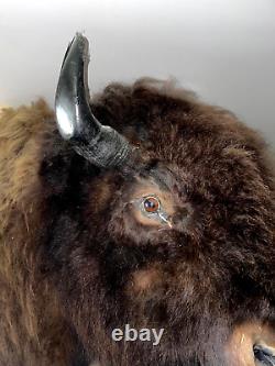 XL Real Buffalo/ Bison Shoulder Taxidermy Mount