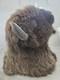 XXL American Bison TROPHY Shoulder Mount Rare Horn Spread Buffalo Taxidermy