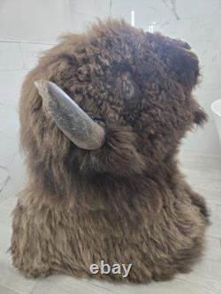 XXL American Bison TROPHY Shoulder Mount Rare Horn Spread Buffalo Taxidermy