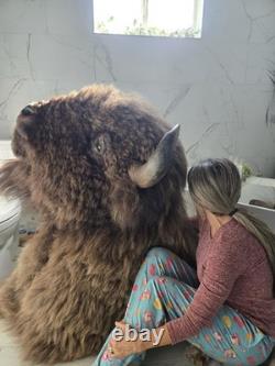 XXL American Bison TROPHY Shoulder Mount Rare Horn Spread Buffalo Taxidermy