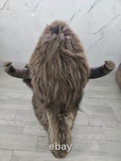 XXL American Bison TROPHY Shoulder Mount Rare Horn Spread Buffalo Taxidermy
