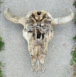 XXL Bull Buffalo Bison Skull Mount Unique Cabin Western Yard Decor Head Art Horn