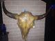 Xl bison Skull Light