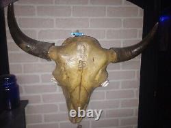 Xl bison Skull Light