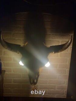 Xl bison Skull Light