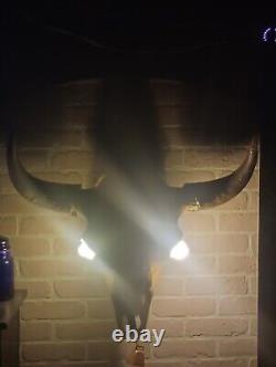 Xl bison Skull Light