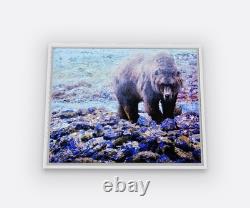 Yellowstone Grizzly 16 X 20 Framed Embellished Art Print By Edward Suthoff