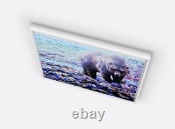 Yellowstone Grizzly 16 X 20 Framed Embellished Art Print By Edward Suthoff