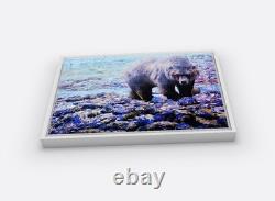 Yellowstone Grizzly 16 X 20 Framed Embellished Art Print By Edward Suthoff