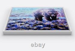 Yellowstone Grizzly 16 X 20 Framed Embellished Art Print By Edward Suthoff