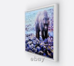 Yellowstone Grizzly 16 X 20 Framed Embellished Art Print By Edward Suthoff